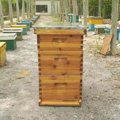 Wooden and AntiRust MetalPart Langstroth Beehive for Durable Hive Maintenance