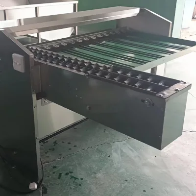 High Performance Egg Tray Production Line Automatic Egg Tray Machine Chicken Egg Processing Equipment