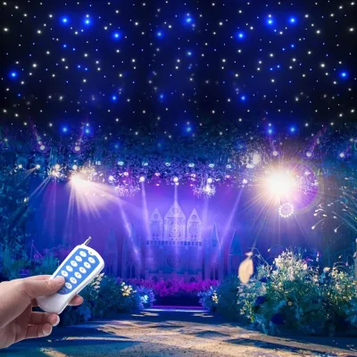 Romantic Twinkle Lights Fireproof Led Star Curtain White and Bule Color Star Cloth Led Star Curtain DMX for Wedding Party Events