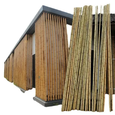 Custom Sizing Pure Natural Moso Dry Bamboo Pole Cost-Effective for Building Construction with Leaf and Branch Parts