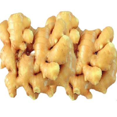New Fresh Ginger/ Dry Ginger/ Jengibre/ Gingembre