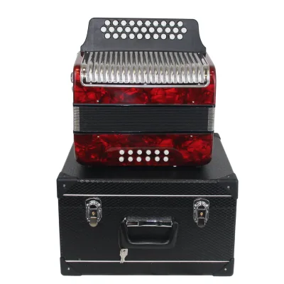Professional Factory Red Color Grey Color 31 Button 12 Bass Diatonic Button Accordion