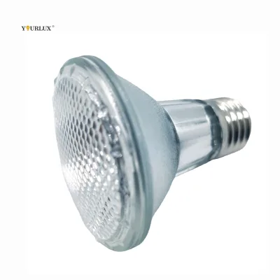 Hot Sale Durable 60W 70W 100W 120W 150W 175W PAR38 Glass Type G Sheep Poultry Chicken Eco Heat Lamp for Poultry