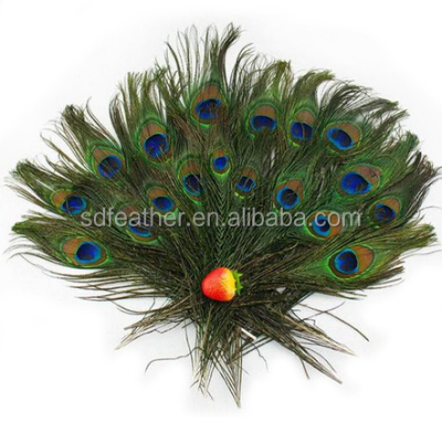 Wholesale High Quality Natural Real Artificial Peacock Feather