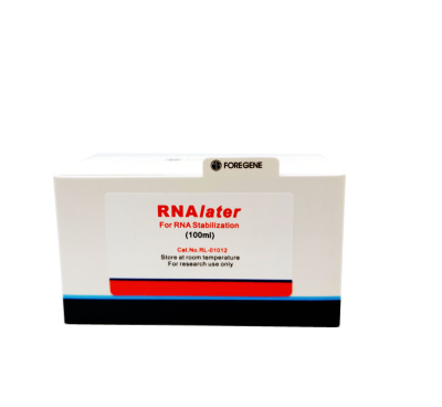 Molecular Biology Reagent RNAlater to Stabilize RNA and Storage Available From Foregene RNA LATER