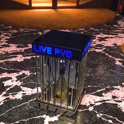 Modern LED Cage Wine Bottle Display Stand Rechargeable Golden Light for Champagne Holder with Stylish Champagne Bottle Presenter