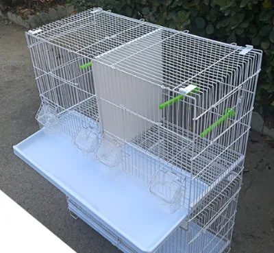 Wholesale Geshifeng Factory Group Cage With Partition Design Bird House for Parrot