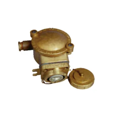 DCZH202-2 Marine Brass Explosion-proof Switch for Boats