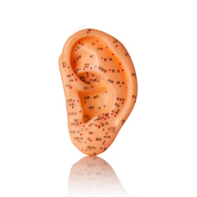 Hwato Brand Ear Model