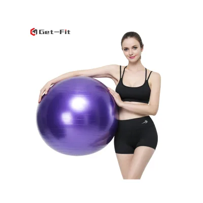 Custom Logo Anti-Burst PVC Gym Exercise Ball Fitness Yoga Ball Accessory
