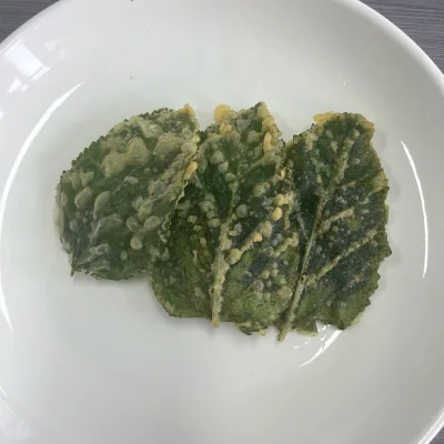 Crunchy Tempura Mulberry Leaves