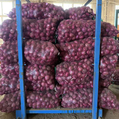 Fresh Onion Red/Purple/Pink Onions Buyers Onion at Wholesale Price