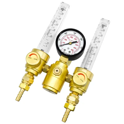 Industrial CO2 Pressure Regulator 220V With Flow Meter and Heater