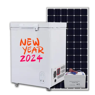 BD/BC-108 Liters 12V 24V DC Drink or Frozen Meet Household Use Solar Freezer
