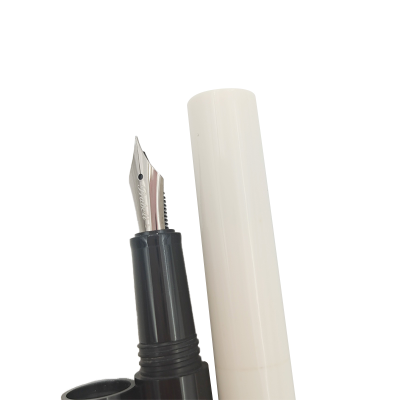 Custom Wholesales Fountain Ink Pens Transparent Piston Engravable Fountain Pens