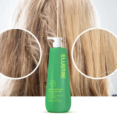 Tamanu & Almond Oil Shampoo | Deep Repair & Moisture | Natural Herbal Hair Nourishment | OEM Private Label Manufacturer