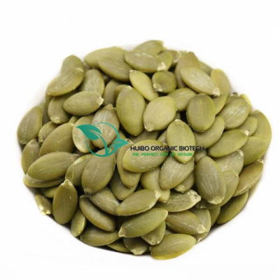 Pumpkin Seed / Pumpkin Seed Kernal / Shine Skin Pumpkin Seed