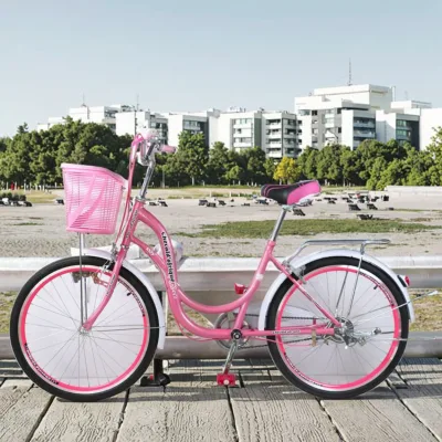 OEM Beach Cruiser Girls 24-Inch Alloy Rim Single Speed Steel Frame Children City Bicycle