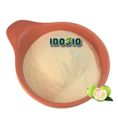 No Additives Guava Juice Powder/guava with plum Powder