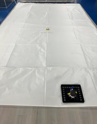 Blue Whale Flexitank Wholesale Anti-Corrosion Chemical Use Custom OEM Support
