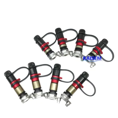 Quick Release Tire Deflator Valve Aluminum Alloy 4x4 Offroad Sand Desert Air Chuck Vent Valve for SUV Truck Universal