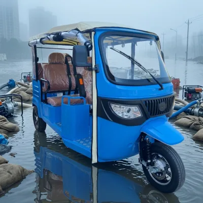 Low Operating Cost Electric Passenger 3 Wheeler, Profitable Choice for Greek Taxi & Tourism Investors Daily Rental Service