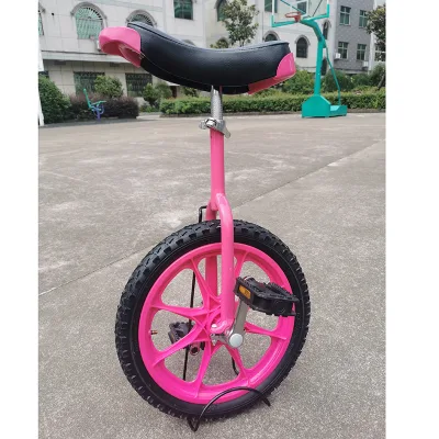 16 Inch One Wheel Motorcycle Unicycle Motor