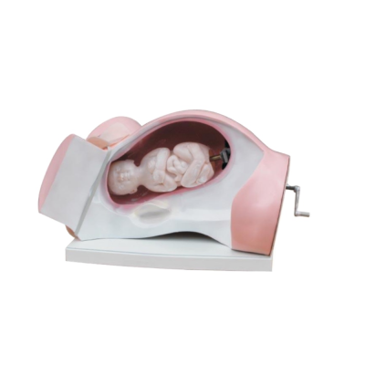 Medical Science Delivery Course Training Model Model of Course of Delivery for Teaching
