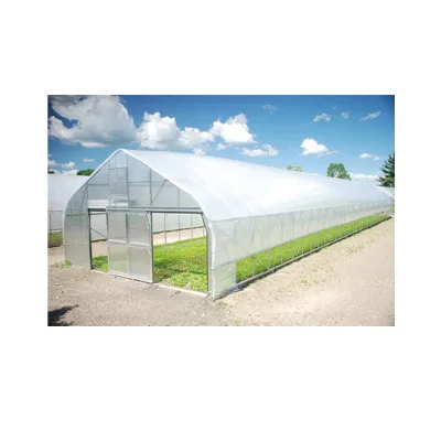 Best Sale Small Plant Growing Tunnel Greenhouse with Plastic Film Covering