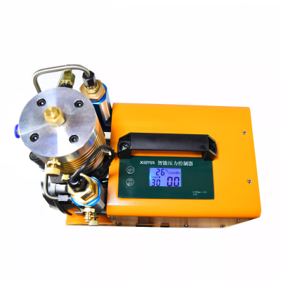 220V Yellow High Pressure Intelligent Control Air Pump for Small air tank for Carbon Fiber Cylinders From Acecare
