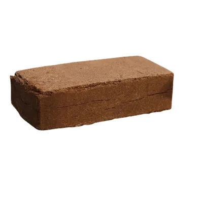 Wholesale Bricks New Organic Coco Coconut Fiber for Vegetable Flower Planting Greenhouse Hydroponics Easy to Operate Baina Brand