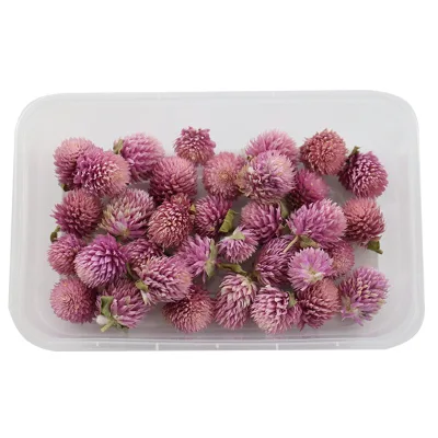 Pressed Flower Premium Dried Flower Kit for Resin Jewelry, Photo Frame Decor, Event Styling & Personalized Gift Making