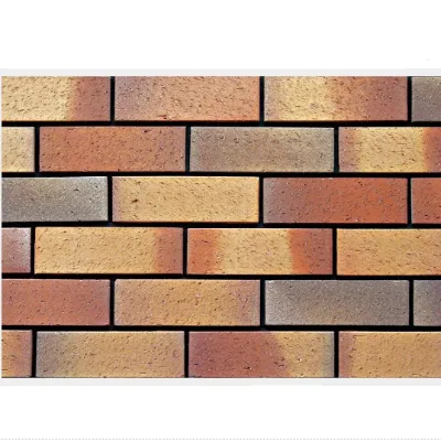 Two Tones Tiles Mixed Various Colors Wall Tiles Decoration