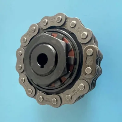 TC Torque Limiter With Chain TC10-16 TC 10-16 Flexible Friction Safety Roller Chain Shaft