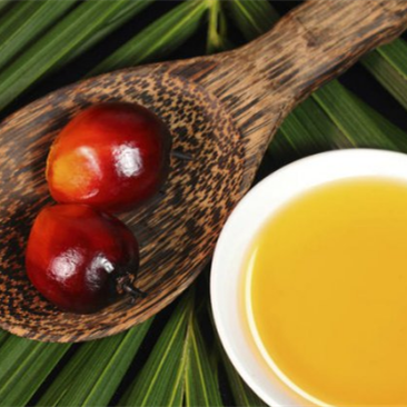 Wholesale Bulk Food Grade 100% Natural Palm Oil High Quality