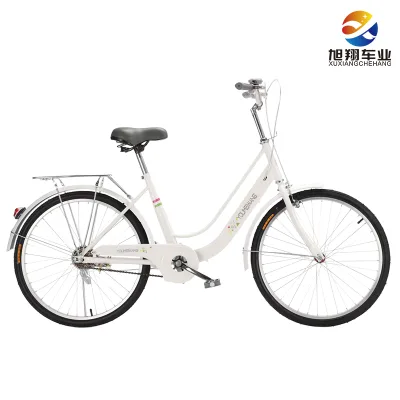 China Supplier Wholesale Daily Travel City Bike 26inch Adult Women Steel Frame Elegant Lightweight Outdoor Bicycle