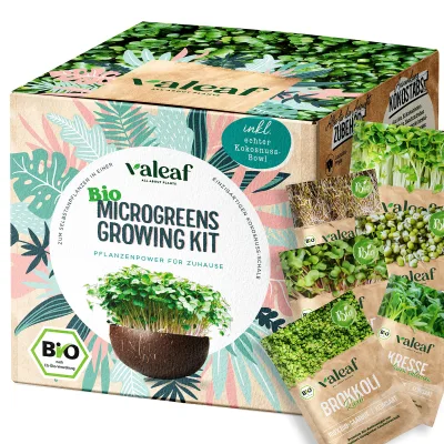 Eco-Friendly Complete Microgreens Kit for Indoor Farming Country-Style Plant Fiber Counter Top Kitchen Microgreens Kit