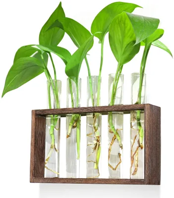 Test Tube Vase Glass Plant Terrarium Wooden Stand Wooden Vase Wooden Vase Holder