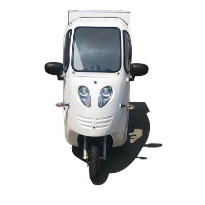 Everbright Peru Russia Morocco Closed Cabin Bike Electric Cargo Three-Wheeled Motorcycle 800W 30-50Km/h 60V CE Certified