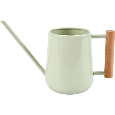 Small Watering Can for Indoor Plants Indoor Watering Can
