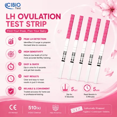 Avalilble Human Home Use Medical Diagnostic Devices Fertility Monitoring LH 2.5mm Strip