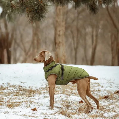 Designer Polyester Dog Coat for Small Large Pets Reflective Winter Spring Print Jackets Manufactured by Dog Coat Manufacturer