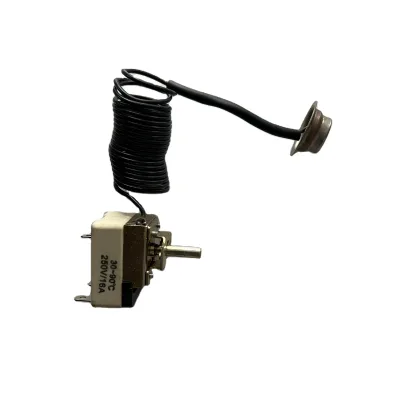 Electric Water Heater with 80 Degree Thermostat for Household Use