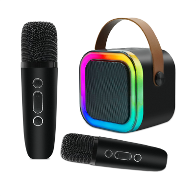 Factory Direct Sale Home K12 Karaoke Machine Professional Karaoke Players Portable K12 Karaoke Machine with Wireless Microphones