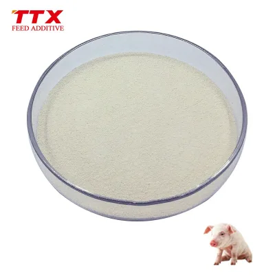 Phytase Granular Ttx Compound Enzymettx Feed Additive for Pigs