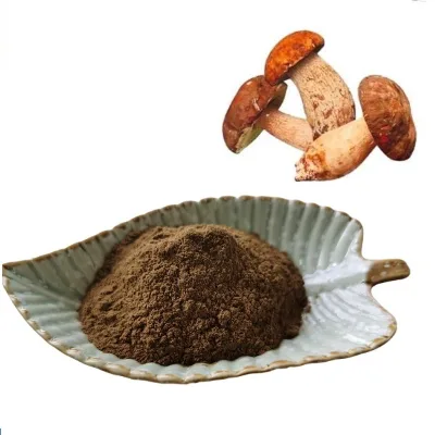 100% Natural Porcini Mushroom Extract Boletus Edulis Extract Porcini Mushroom Powder 50% Mushroom Polysaccharide in Bulk