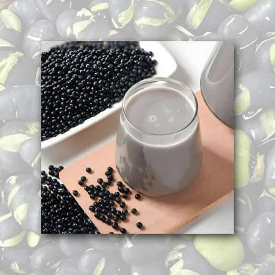 Instant Black Soybean Milk Powder Vegan Dairy Free Protein Shake Mix High Fiber Plant Based Milk Alternative for Weight Loss