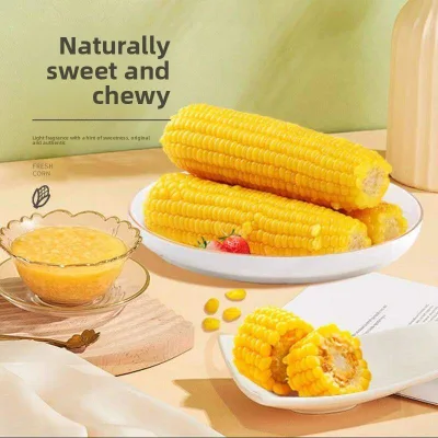 Coarse Grain Authentic Northeast Black Soil Corn Fresh Plump Cobs Soft Sticky Sweet; Low-fat Meal Replacement Vacuum-packed