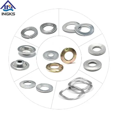 Industrial Usage Stainless Steel DIN125 DIN127 M6 M8 M10 Rivet Screw Flat Tab Spring Lock Washer
