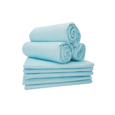 Disposable Pet Training Pad Potty Under Pad Super Absorbent Pads